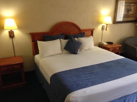 Downtowner Inn And Suites - ヒューストン エクステリア 写真